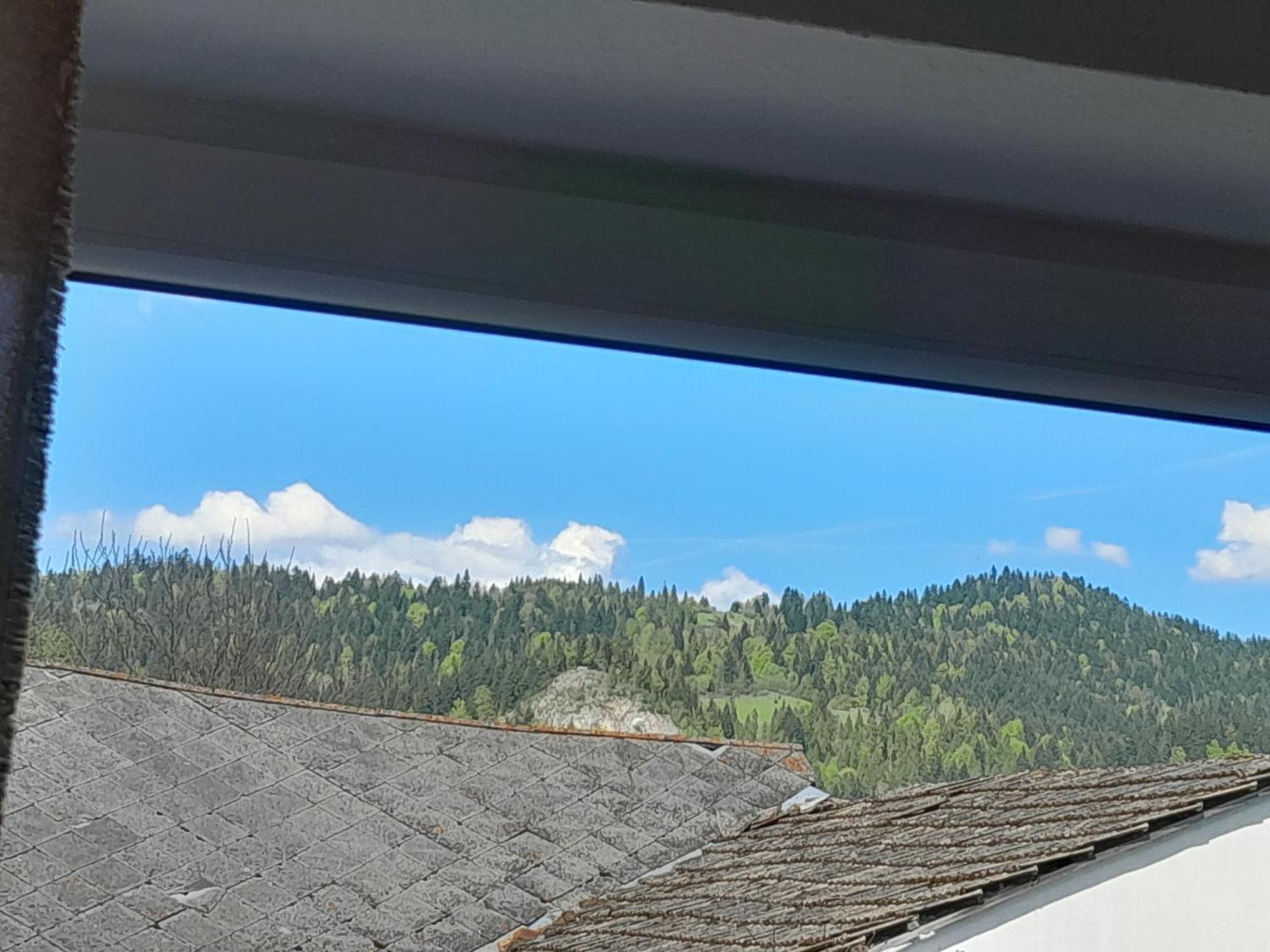 Apartamenty W Pieninach - 2 Sypialnie Sromowce Wyzne Bagian luar foto